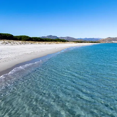 Alba * Santa Lucia (Sardinia)