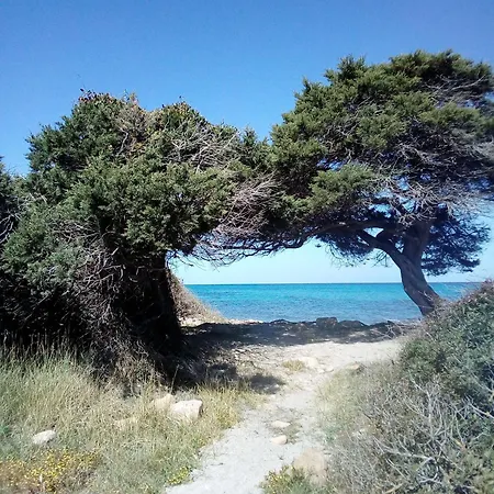 Alba Santa Lucia (Sardinia)